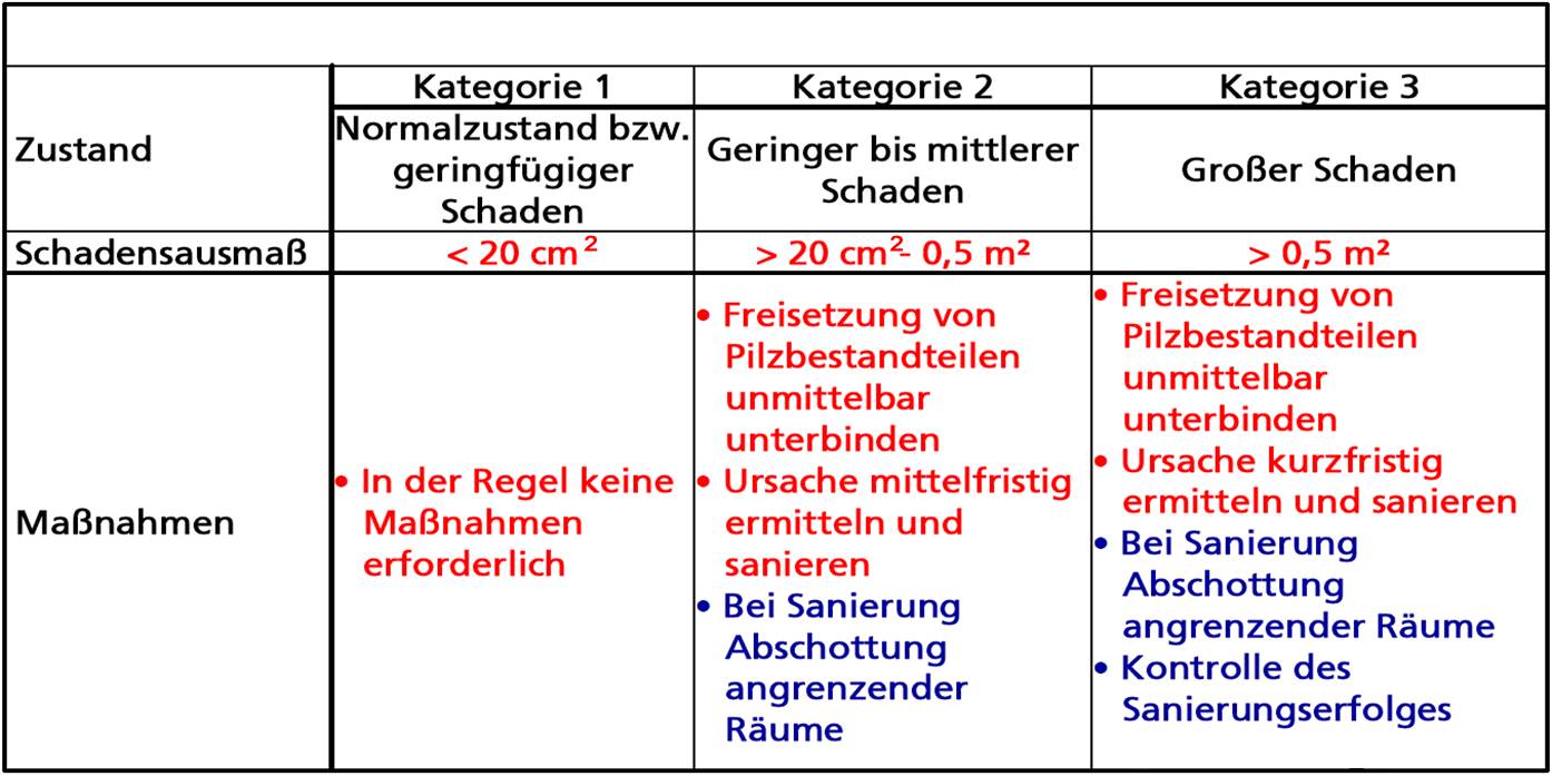 KHB Schimmelschaden